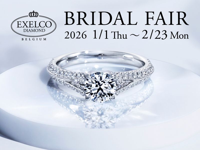 A*i様 週末価格 EXELCODIAMOND ダイヤモンド プラチナリング 指 A*i様 週末価格 EXELCODIAMOND ダイヤモンド プラチナリング 指 A*i様