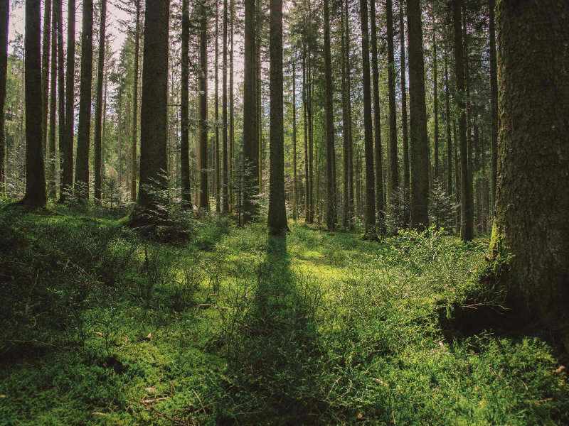 手にするリングが、未来を照らす存在であるために。