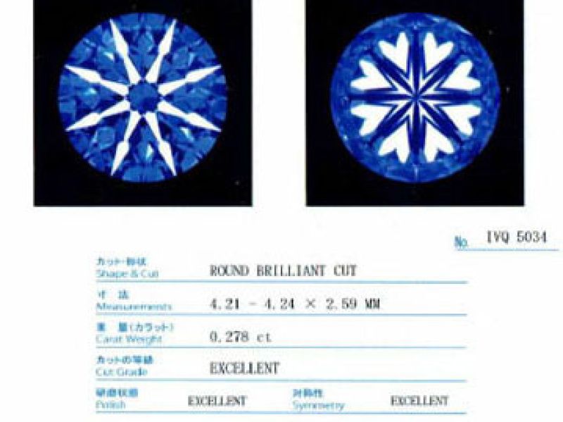 トリプルエクセレント