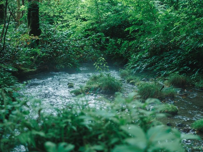 「縁結び」の本当の意味