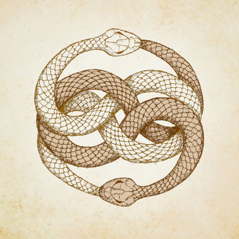 Serpent Éternel～セルパン エターナル～》 [結婚指輪] エクセルコ