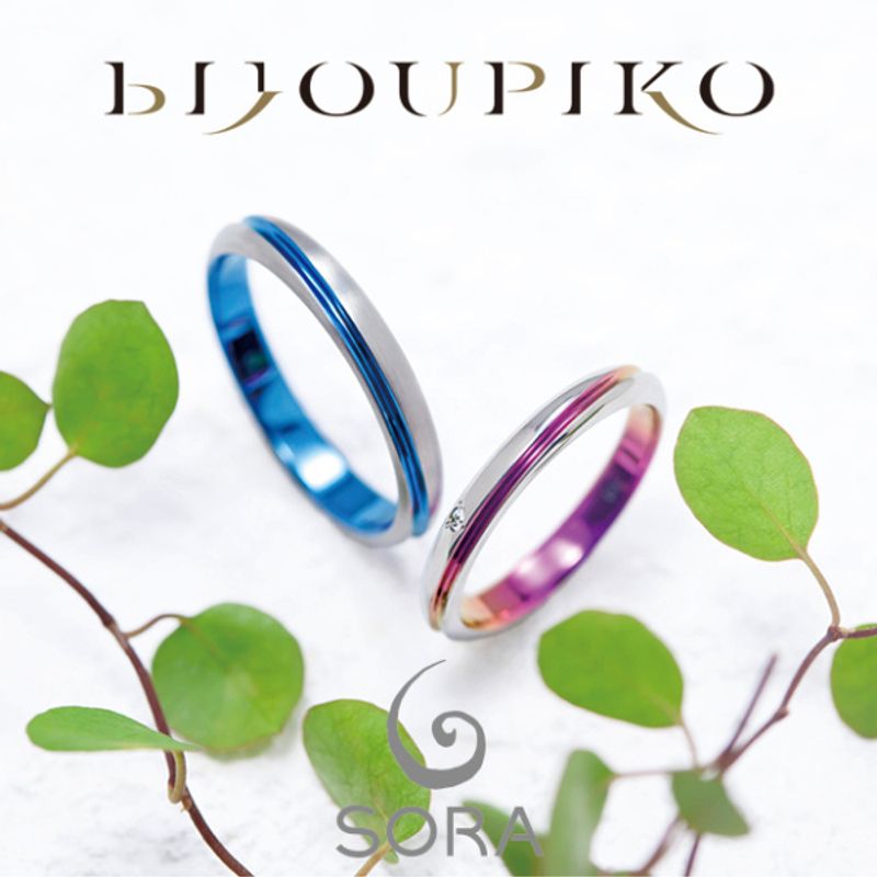 ECRIPT】エクリプト [結婚指輪] BIJOUPIKO(ビジュピコ