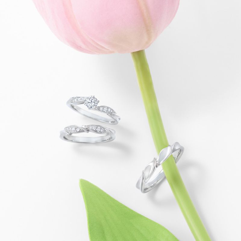ロイヤルパニッシャー　ラストジャッジ　ジャッジメントリンク　ピュリファイ　セット WRA005 WRB008 | ロイヤル・アッシャー - 結婚指輪 | 長野県