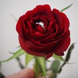 ec56995b8d49ea36ff1afc53f978470e39d688b50888867001752416880.jpg
