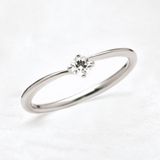 【garden(ガーデン)】小夏～こひなシリーズ～