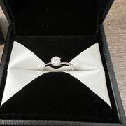 エクセルコダイヤモンド(EXELCO DIAMOND)の《Mariage Oiseaux