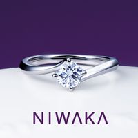 TOMPKINS(トンプキンス) 佐野