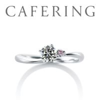 アイアイイスズ east