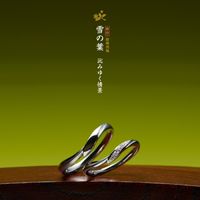 efuつくば本店（旧ISSHINDO）