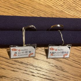 【BIJOUPIKO(ビジュピコ)の口コミ】 シリーズで色々なデザインがあり、デザインに対するデザイナーの想いが込…