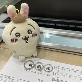 【銀座ダイヤモンドシライシの口コミ】 どうせなら婚約指輪もお出かけに使えるものを、と思い、仰々しくなく、台…