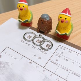 【銀座ダイヤモンドシライシの口コミ】 シンプルだけど可愛いものを探しており、こちらがぴったりだと感じました…