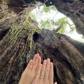 【THREE TREES(スリーツリーズ)の口コミ】 彼女はシングル波、私は六角形にしたくて前面に波を入れた。
婚約指輪と重…