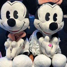 【ケイウノ ブライダル(K.UNO BRIDAL)の口コミ】 セミオーダーで、ディズニーらしさをあしらったデザインにしてもらいまし…