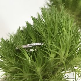 【俄(にわか)の口コミ】 キラキラしている物が良かったので、デザインに一目惚れでした。リング全…