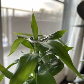 【LEGAN(レガン)の口コミ】 主人も私もそれぞれこだわりがあって、色んなお店と商品をみたけど納得い…