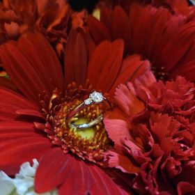 【銀座ダイヤモンドシライシの口コミ】 シンプルでオシャレで普段使いしてもあきがこないシンプルなデザインがい…