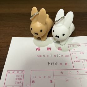 【ENUOVE(イノーヴェ)の口コミ】 着け心地がよくて
普段の服装に合わせるても浮かないけど、存在かんもある…