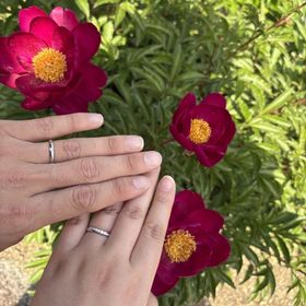 【銀座ダイヤモンドシライシの口コミ】 お互い気に入ったデザインで満足しています。
私はハーフエタニティ希望、…