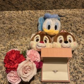 【ケイウノ ブライダル(K.UNO BRIDAL)の口コミ】 彼女の推しであるチップとデールがデザインされていてとてもかわいいです…