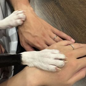 【アイプリモ(I-PRIMO)の口コミ】 男性側はシンプルだが削りを入れアクセントがあり良い点、指の形に1番あっ…