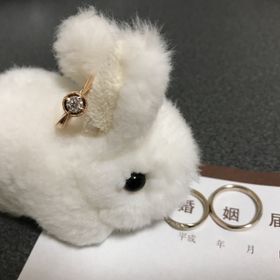 【TANZO.(鍛造指輪)の口コミ】 他の人とかぶらないものを選びたかったから。他のショップではカスタマイ…