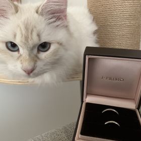 【アイプリモ(I-PRIMO)の口コミ】 着け心地に関しても特に違和感もなく、すぐに馴染みました。
バースストー…