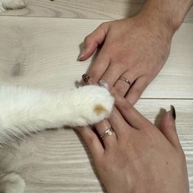 【アイプリモ(I-PRIMO)の口コミ】 アイプリモの指輪は頑丈ですし、何よりもシンプルですけど飽きないデザイ…