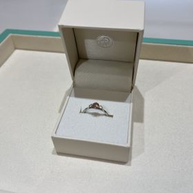 【DIAMOND DOT LAB(ダイアモンド ドット ラボ)の口コミ】 純プラチナのため、アレルギーに強いところ。
金属アレルギーを持っている…