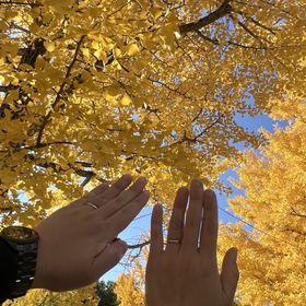 【アイプリモ(I-PRIMO)の口コミ】 指輪のピンクゴールド部分が、太陽のようにいつまでもお互いを照らし続け…