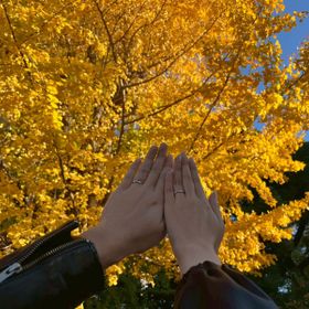 【アイプリモ(I-PRIMO)の口コミ】 種類がたくさんありました。少し変わった形にしたかったのでねじったよう…