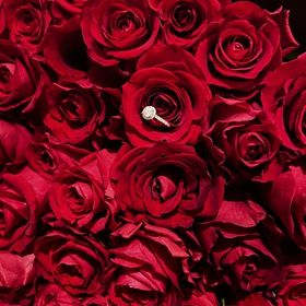 【銀座ダイヤモンドシライシの口コミ】 一生に一度のものなので妥協したくなくて大きいダイヤを選びました！毎日…