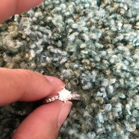 【青い鳥の口コミ】 旦那が色々探してくれて、これが1番気に入り、これにするからと自分の中で…