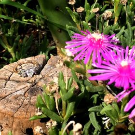 【宝石工房ヴァンモアの口コミ】 ヴァンモアさんは婚約前から良くしてくださってたお店です。
今回は記念日…