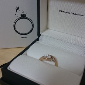 【Galopine & Galopin(ガロピーネガロパン)の口コミ】 大好きなディズニーコラボ！大好きなティンカーベル！
指を綺麗に見せてく…