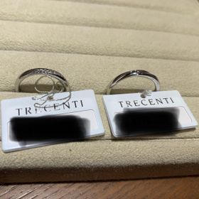 【TRECENTI(トレセンテ)の口コミ】 指輪をつけたときの指どおりの滑らかさがとても気持ち良いです。
特に付け…