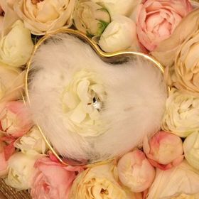 【ラザール ダイヤモンド(LAZARE DIAMOND)の口コミ】 すっきりしたデザインで、ダイヤモンドのカットが素晴らしく、輝きが違っ…