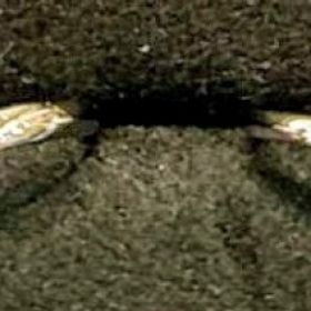 【GALA JEWELRY(ガラジュエリー)の口コミ】 派手すぎず服装を選ばないデザインで
これから年を重ねても長くつけられそ…