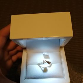 【杢目金屋(もくめがねや)の口コミ】 お互いに大学で植物について学んでいて、桜の葉の研究をしていました。一…