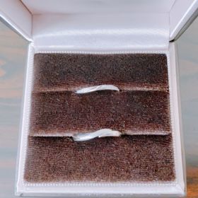 【アイプリモ(I-PRIMO)の口コミ】 私の指輪はキラキラは欲しいけど、あまり派手すぎても嫌だなと思っていま…