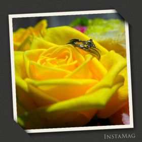 【COLANY(コラニー)の口コミ】 一番の決めては、やっぱり
デザインの美しさに胸を打たれました。

それと…