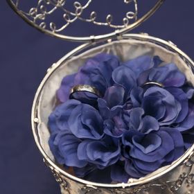 【プロドットコムの口コミ】 結婚式のテーマカラーが、二人ともが好きなブルーだったので、指輪の裏側…