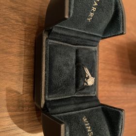 【ハリー・ウィンストン(Harry Winston)の口コミ】 ブランドとして高いのは知っていたが、芸能人もつけるくらいの高級ブラン…