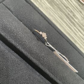 【TRECENTI(トレセンテ)の口コミ】 デザインの多さと、価格の一致で決めました。
好きなデザインがたくさんあ…