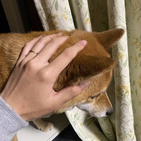 【俄(にわか)の口コミ】 俄の指輪選びましたがデザインもシンプルなので選びました。また指輪の名…