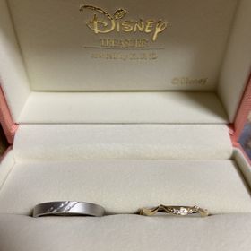 【ケイウノ ブライダル(K.UNO BRIDAL)の口コミ】 野獣の爪跡が気に入ったのとベルのドレスのデザインがすごく素敵でたくさ…