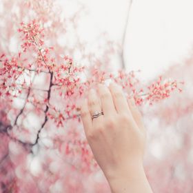 【俄(にわか)の口コミ】 初桜のコンセプトに惹かれて選びました。婚約指輪を選びに行ったのですが…