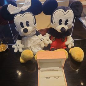 【ケイウノ ブライダル(K.UNO BRIDAL)の口コミ】 彼女がディズニーがめちゃくちゃ好きなのでケイ・ウノさんのディズニーコ…