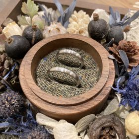 【鎌倉彫金工房の口コミ】 夫婦共に温泉が好きなので、素材は変色しにくいプラチナ一択でした。また…