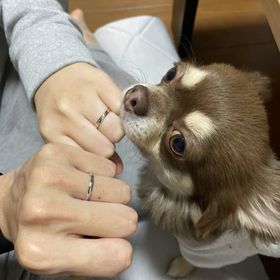 【insembre(インセンブレ)の口コミ】 私の姉が以前に、インセンブレ様で結婚指輪ん購入していました。今回、姉…